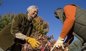 Mature couple bagging fall leaves