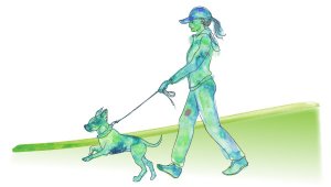 illustrated woman walking dog