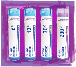 Arnica montana pellets in 6c, 12c, 30c and 200ck dilutions, on a purple watercolor background